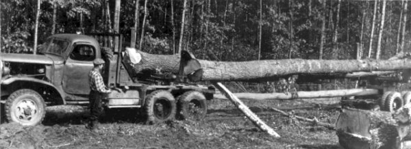 Лісовоз. Фото 1950-х років