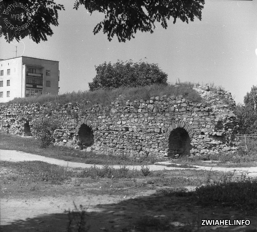 Руїни Звягельського замку, 1983 рік