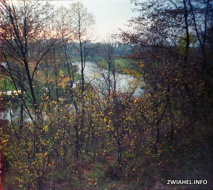 Вид на річку Случ з боку палацу Мєзєнцевих у бік замкового пагорбу