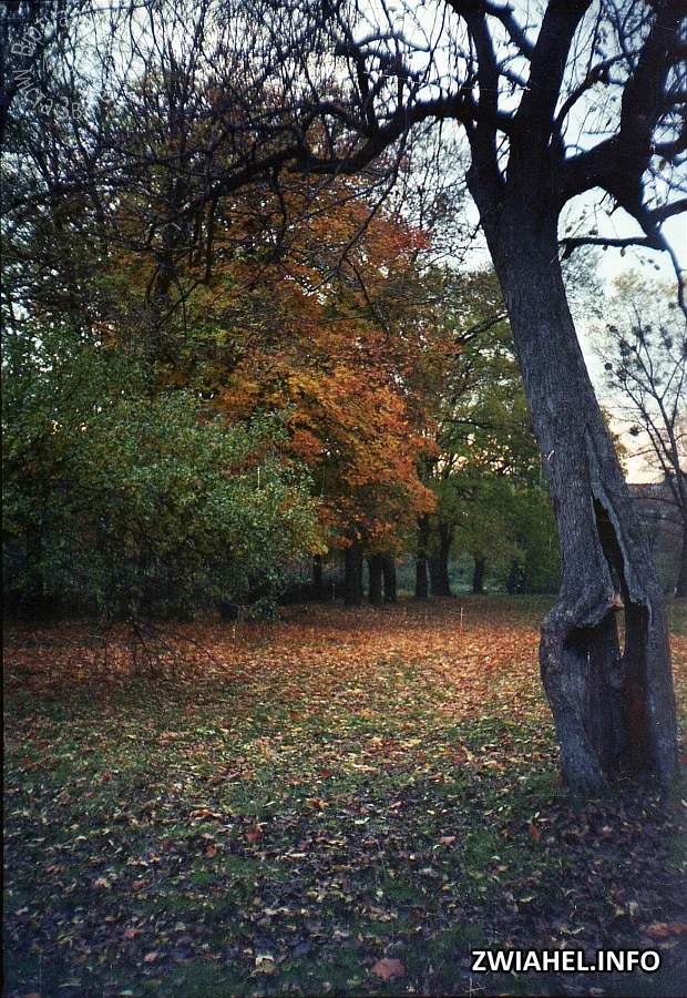 Колишній парк Мєзєнцевих восени