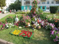 Конкурс «Моє квітуче місто» (26 серпня 2007 року, Віталій Терещук)