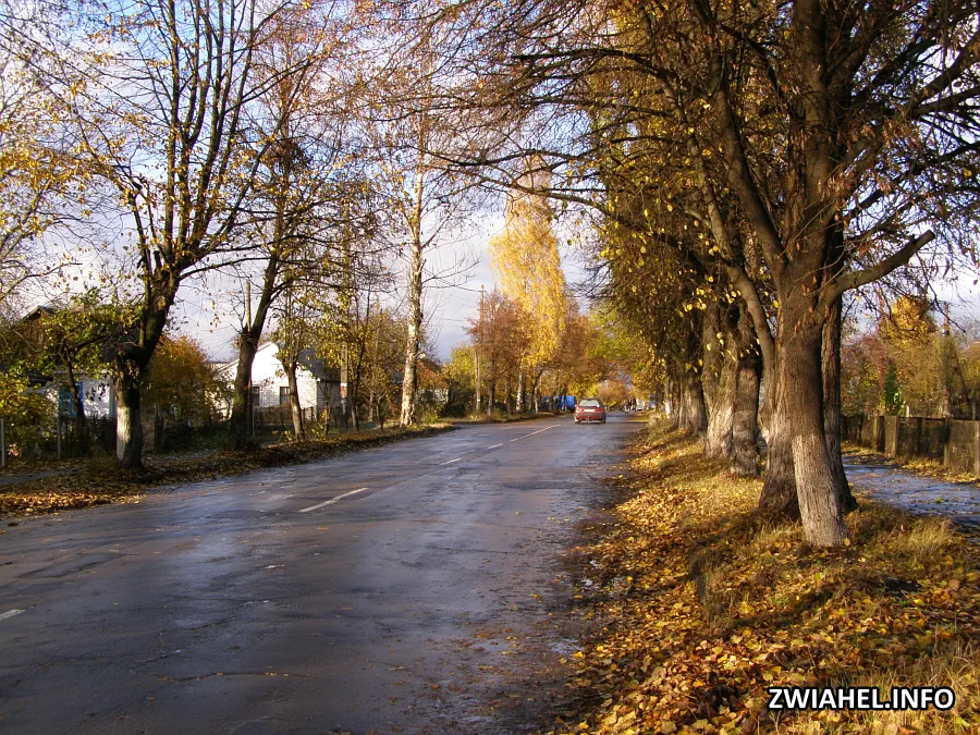 Вулиця Лесі Українки восени 2009 року