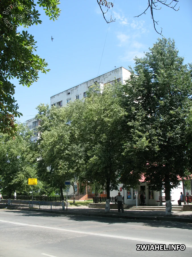 9-поверховий житловий будинок на розі вулиць Пушкіна та Шевченка