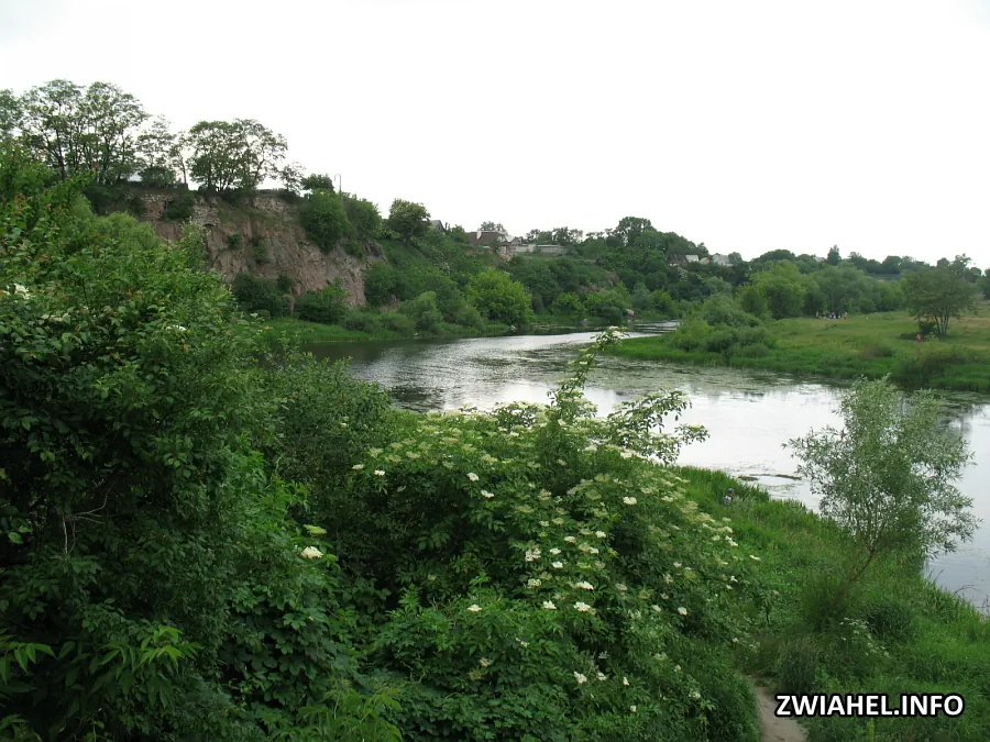 Річка Случ: вид у бік замкового пагорбу (2012 рік)